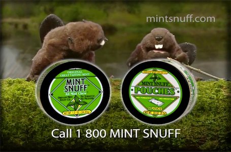 Mint Snuff Beavers